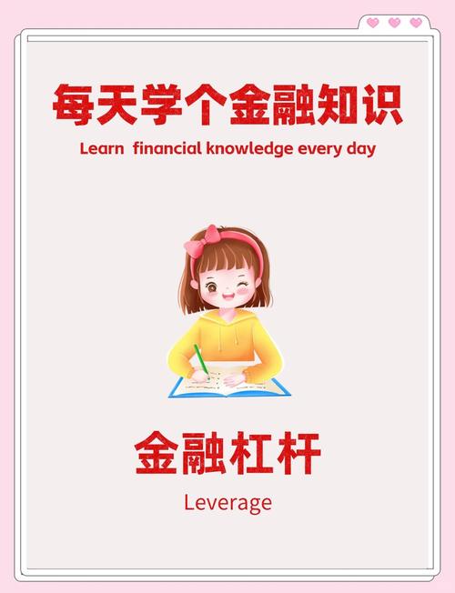 金融杠杆计算方法_金融杠杆风险与收益分析_金融杠杆是什么意思