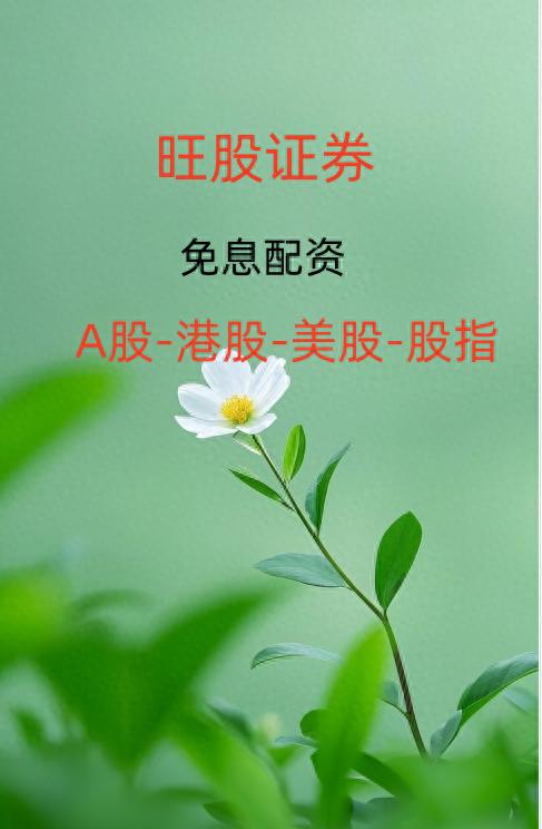 股票市场极端行情风险大？正规配资平台靠实时压力测试化解