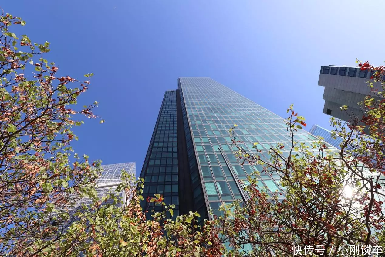 金融市场新手投资迷茫？智能诊股工具为你拨开迷雾