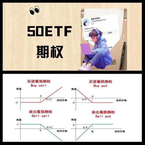 期权杠杆率计算公式_期权杠杆率与真实杠杆率区别_股票杠杆多少倍