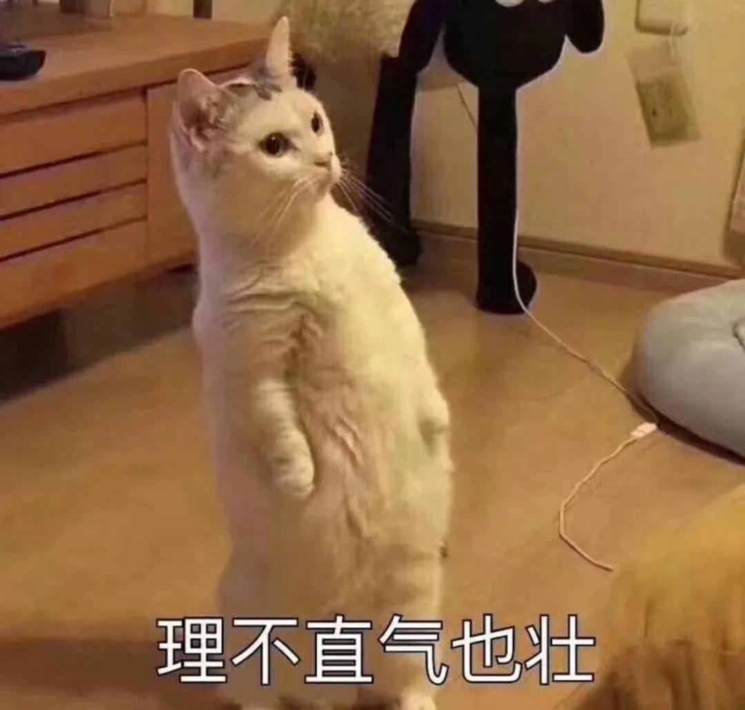 股指期货配资网_场外配资风险_高杠杆炒股危害