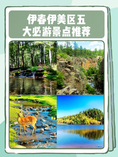 伊春必去的景点？炒股入门必读？